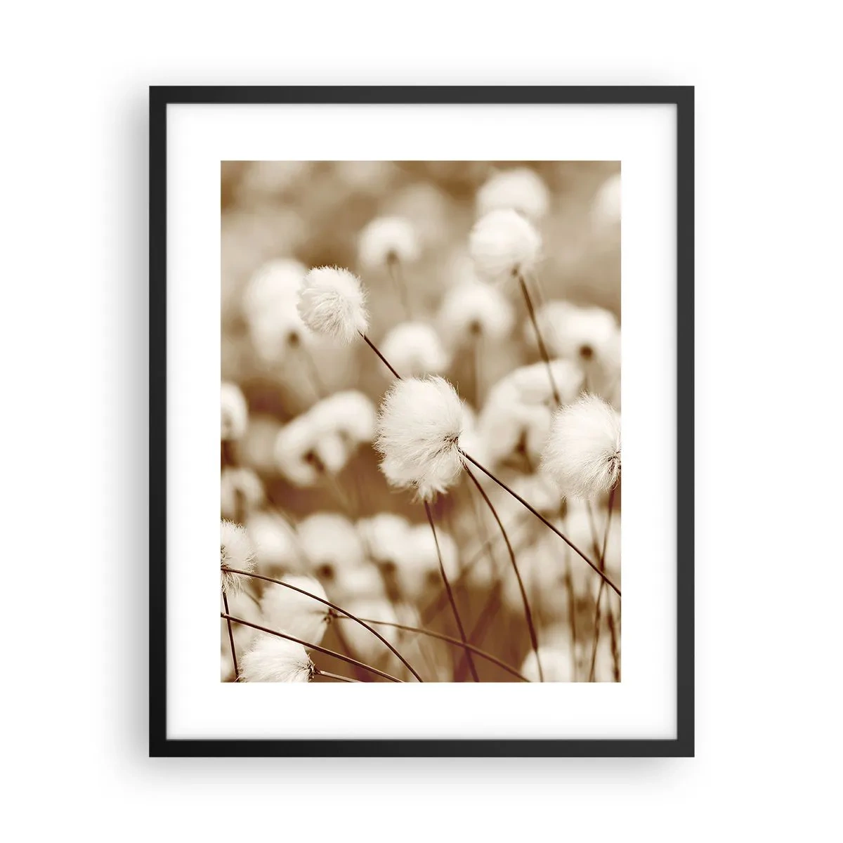 Poster în ramă neagră - Câmp pufos - 40x50 cm