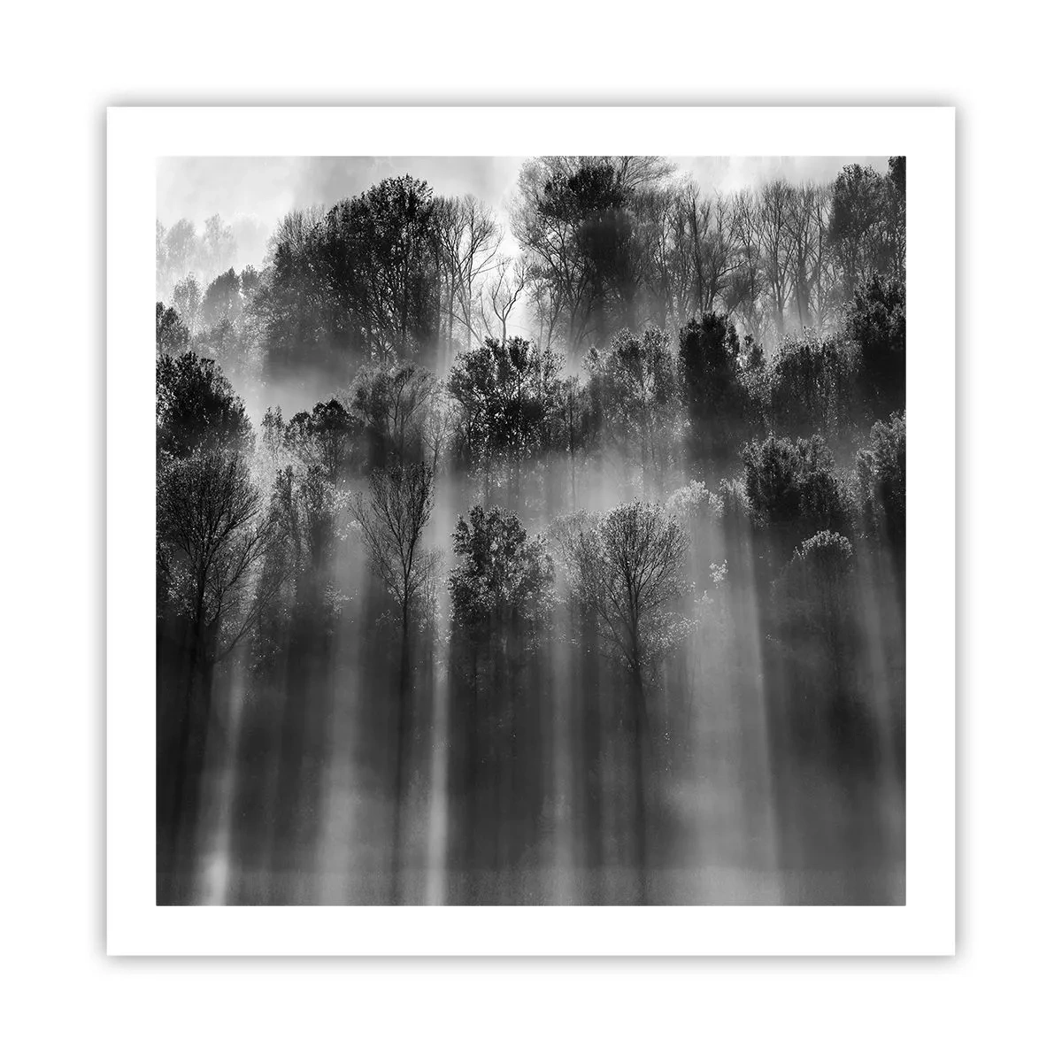 Poster - În fluxuri de lumină - 60x60 cm