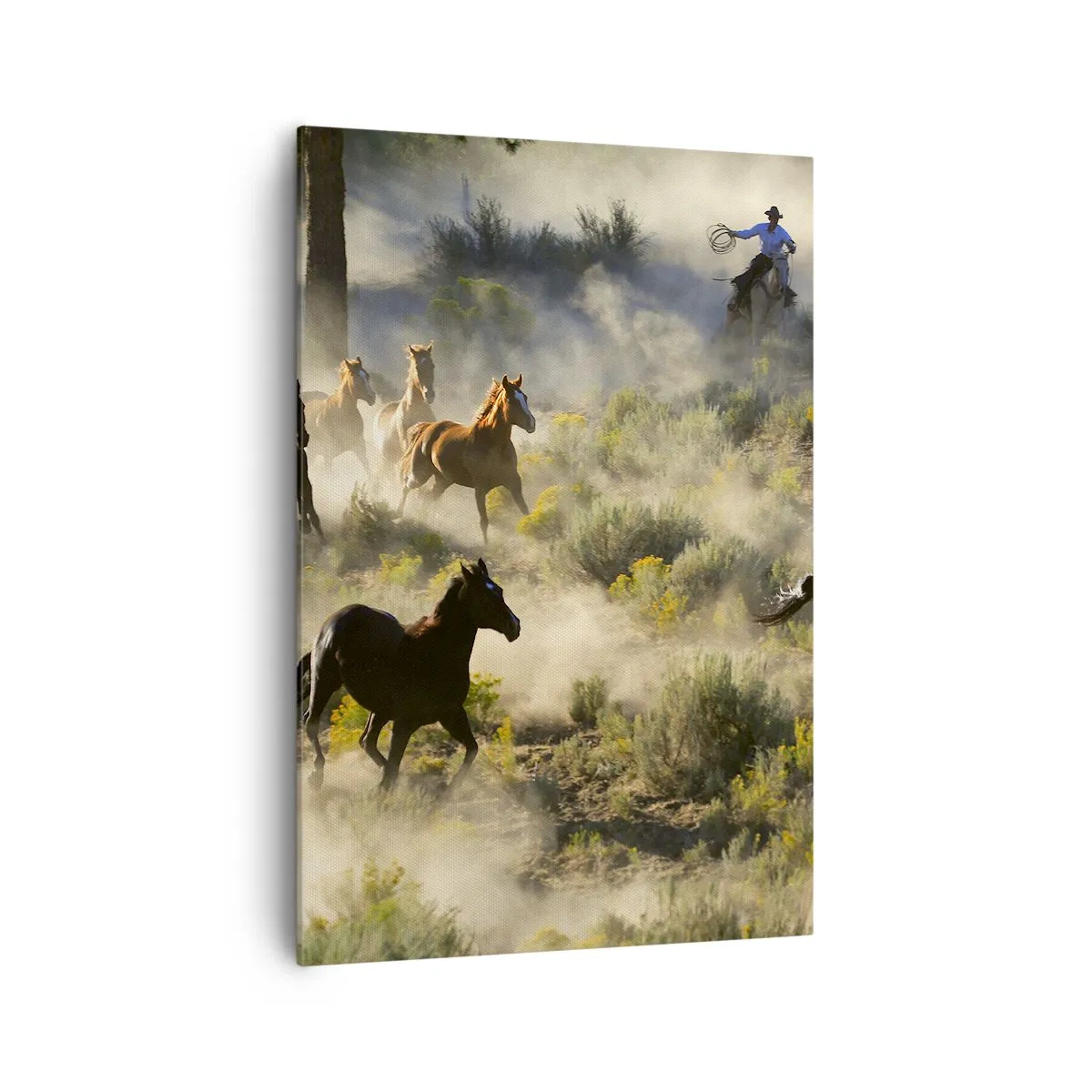 Tablou pe pânză - Rivalitatea - libertate sau putere masculină? - 70x100 cm