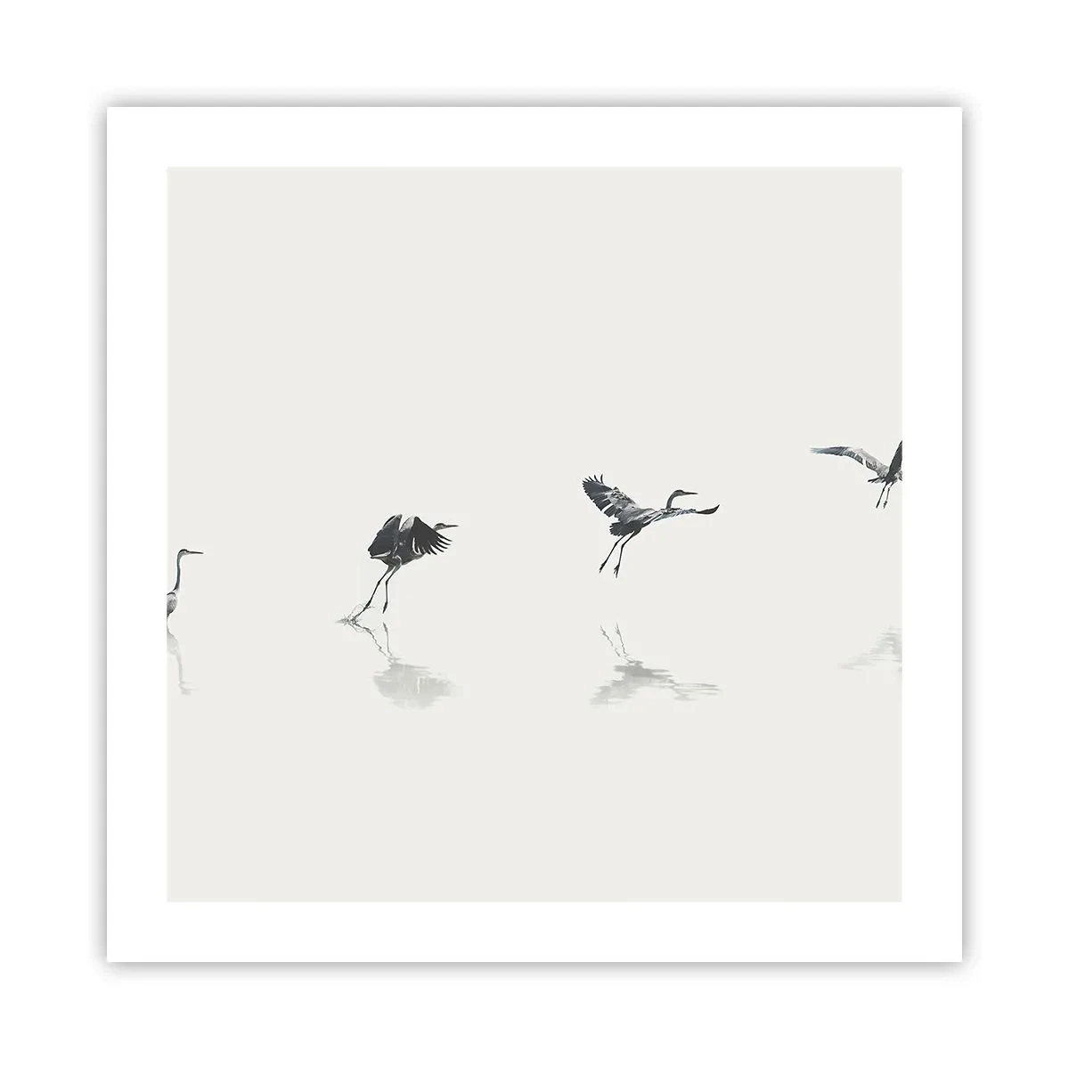 Poster - Patru pași simpli - 50x50 cm