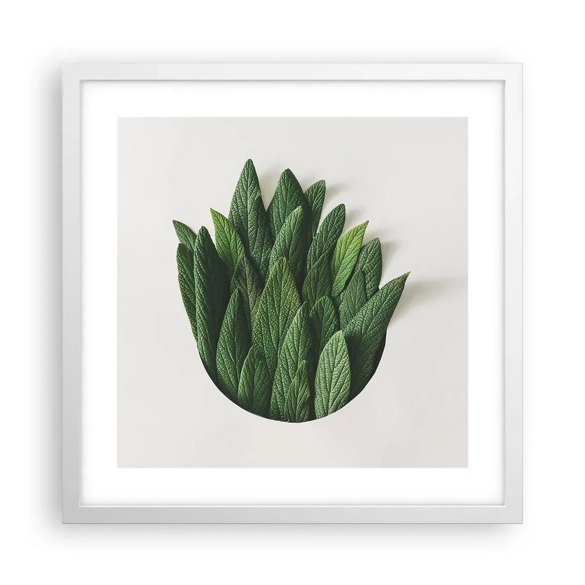 Poster în ramă albă - Curiozitatea nestăvilită - 40x40 cm