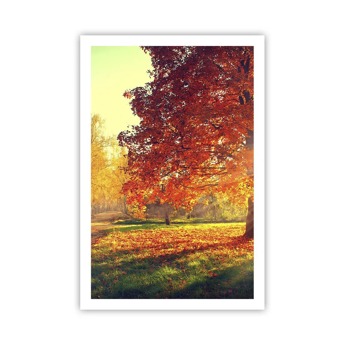 Poster - Roșcatul este frumos - 61x91 cm