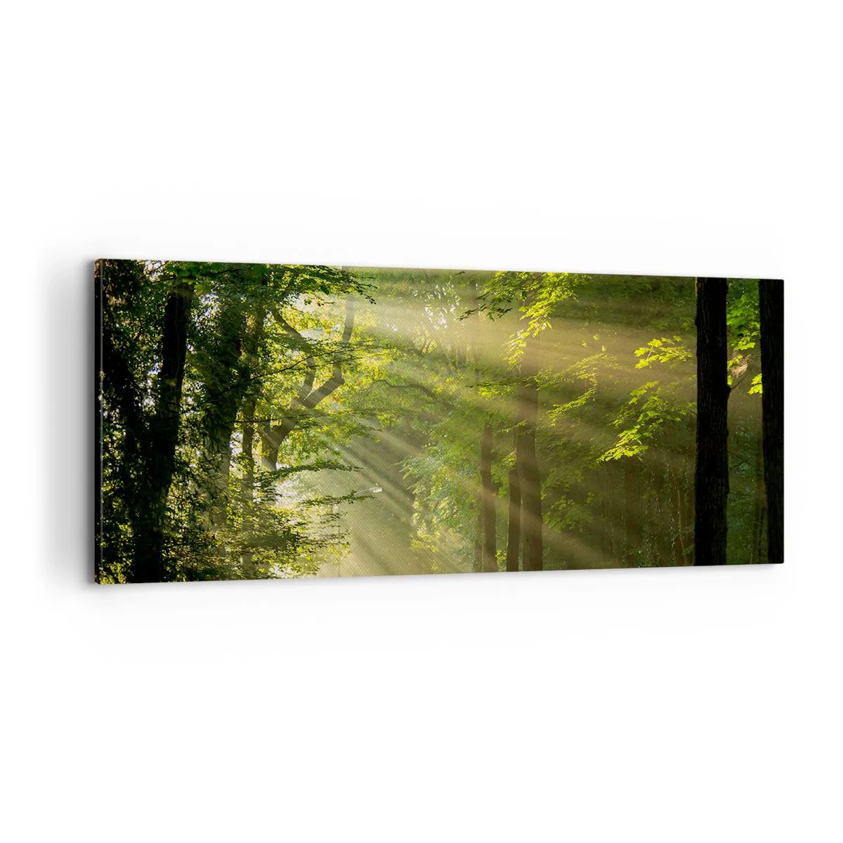 Tablou pe pânză - Moment de pădure - 100x40 cm