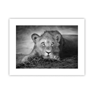 Poster - Pisicuța regală - 40x30 cm