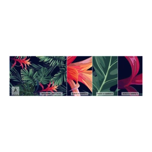 Mostră de Tapet Standard Eco - Flacăra verde - Flori, Planta tropicala, Frunze de palmier - 100x30 cm
