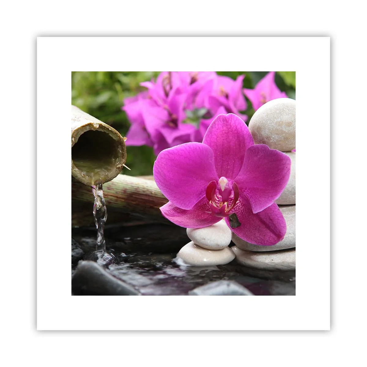 Poster - Te odihnești deja - 30x30 cm