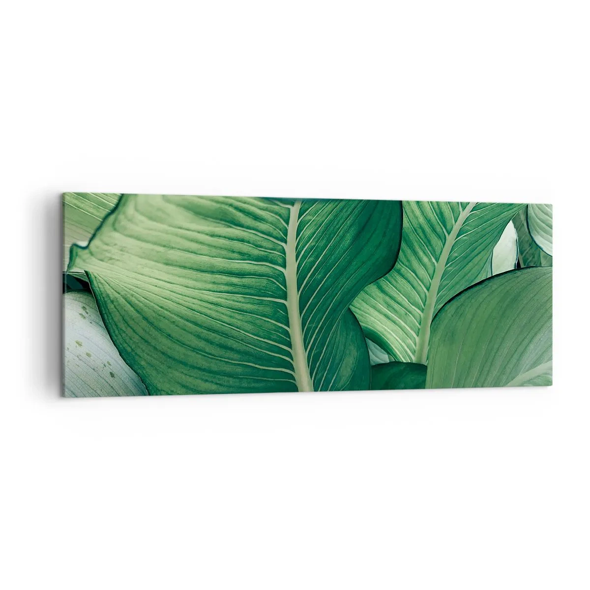 Tablou pe pânză - Viață intensă în verde - 140x50 cm