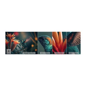 Mostră tapet autocolant Deluxe Sticker - Viață cu adevărat colorată - Pasăre, Exotic, Floare - 100x30 cm