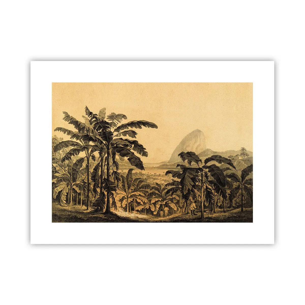 Poster - În stil colonial - 40x30 cm