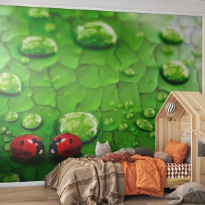 Tapet Premium Canvas - Întâlnire în verde - Natură, Buburuza, O picătură de apă - 250x175 cm