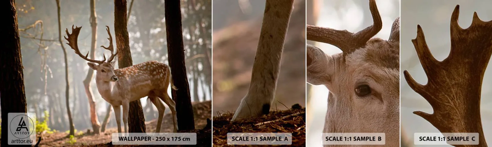 Mostră tapet autocolant Deluxe Sticker - Lumina tinereții - Animale, Cerb, pădure - 100x30 cm