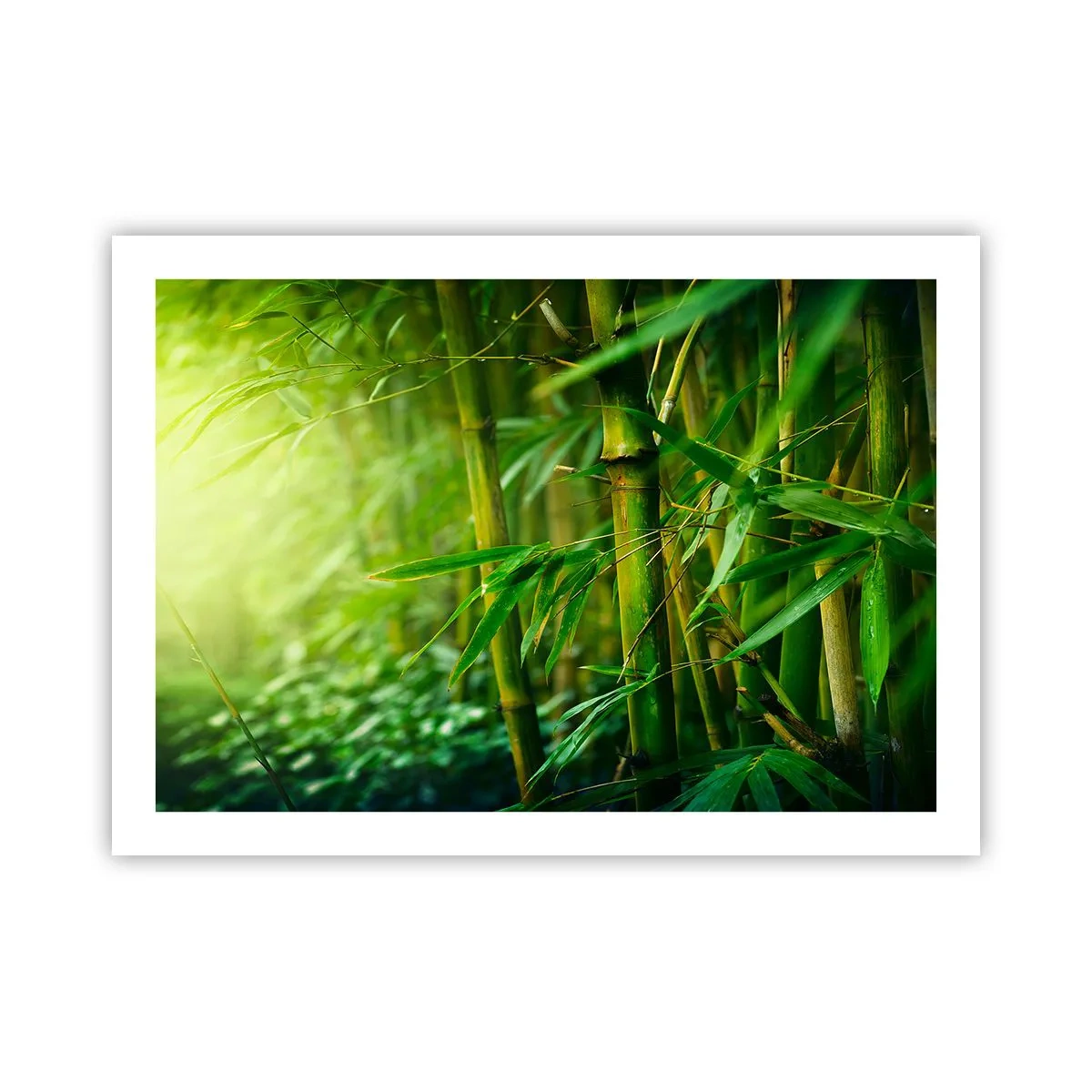 Poster - Cunoașteți verdeața în sine - 70x50 cm