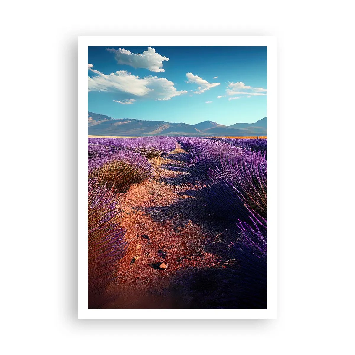 Poster - Câmpuri parfumate - 70x100 cm