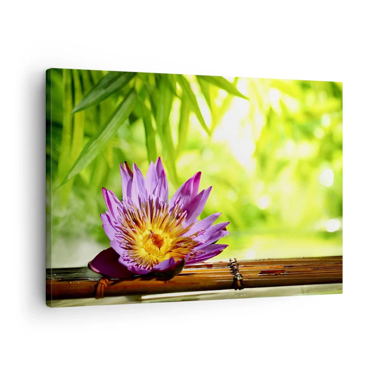 Tablou pe pânză Canvas - Floare de lotus violet pe un fundal de frunze verzi de bambus - 70x50cm - În soarele asiatic - Decorațiune modernă pentru perete pentru living și dormitor ARTTOR