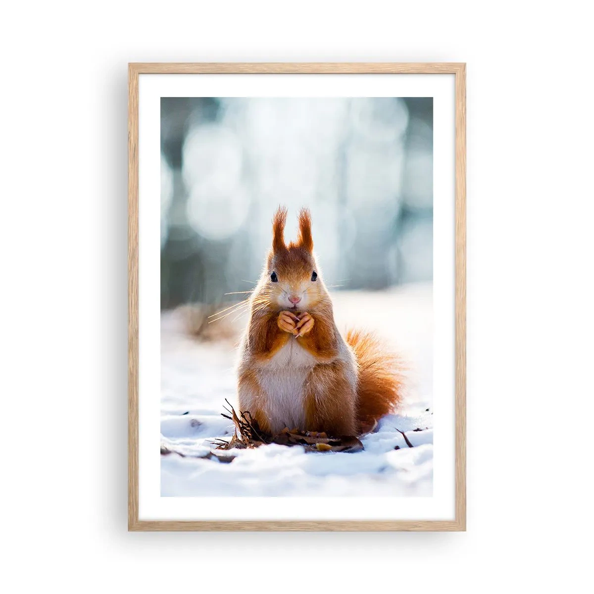 Poster în ramă de stejar deschis - Și la ce te uiți? - 50x70 cm
