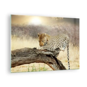 Tablou pe sticlă - Un leopard odihnindu-se pe o creangă de lemn - 70x50cm - Mă duc pe drumul meu - Decorațiune modernă pentru perete pentru living și dormitor ARTTOR