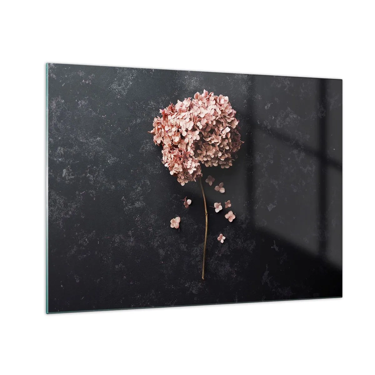 Tablou pe sticlă - Hortensie uscată cu petale împrăștiate pe un fundal întunecat - 70x50cm - Un semn cu adevărat romantic - Decorațiune modernă pentru perete pentru living și dormitor ARTTOR