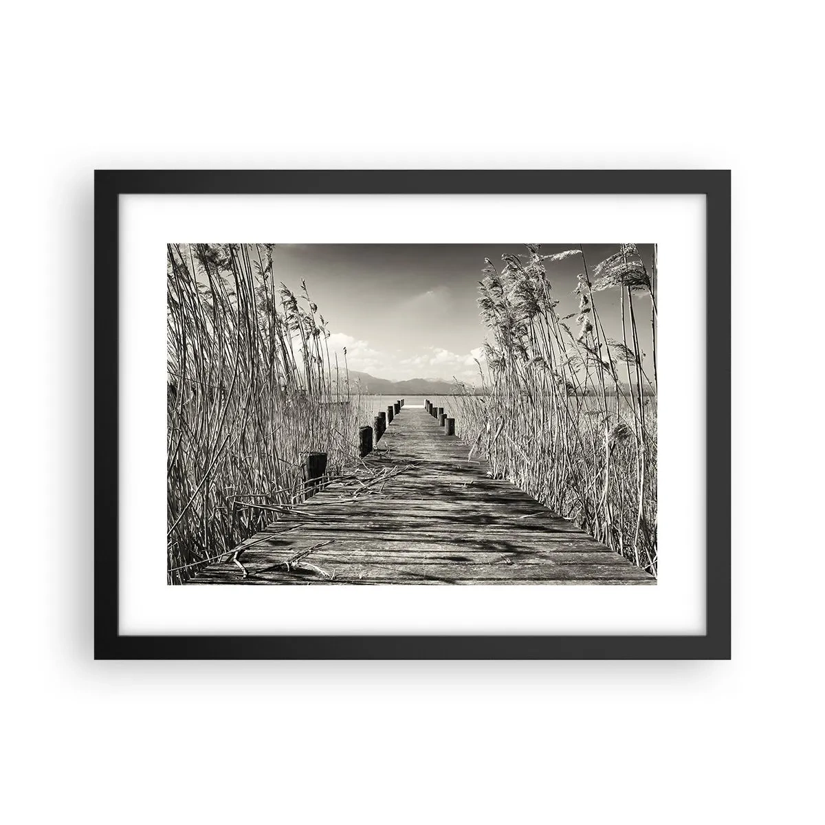 Poster în ramă neagră - În intimitatea ierburilor - 40x30 cm