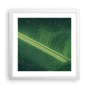 Poster în ramă albă - Structura verdelui - 40x40 cm