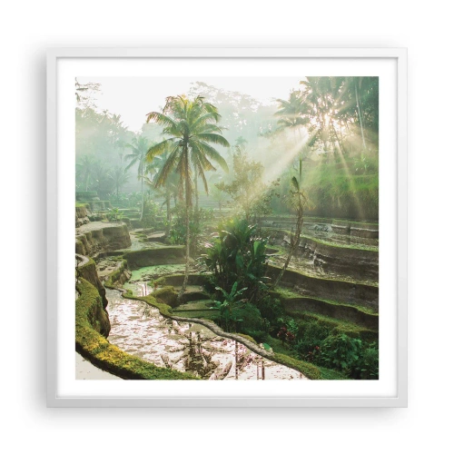 Poster în ramă albă - Crescând la soare - 60x60 cm