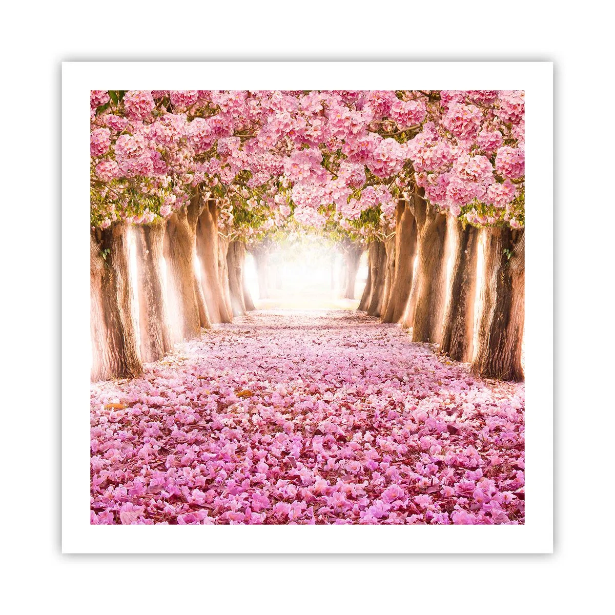 Poster - Drumul spre paradis - 60x60 cm
