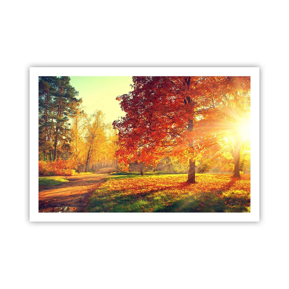 Poster - Roșcatul este frumos - 91x61 cm