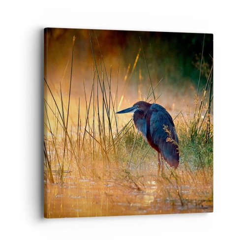 Tablou pe pânză - Lasă-mă în pace cu aceste fotografii - 40x40 cm