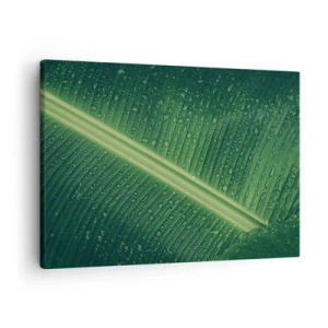 Tablou pe pânză Canvas - O frunză verde cu picături de apă pe suprafața ei - 70x50cm - Structura verdelui - Decorațiune modernă pentru perete pentru living și dormitor ARTTOR