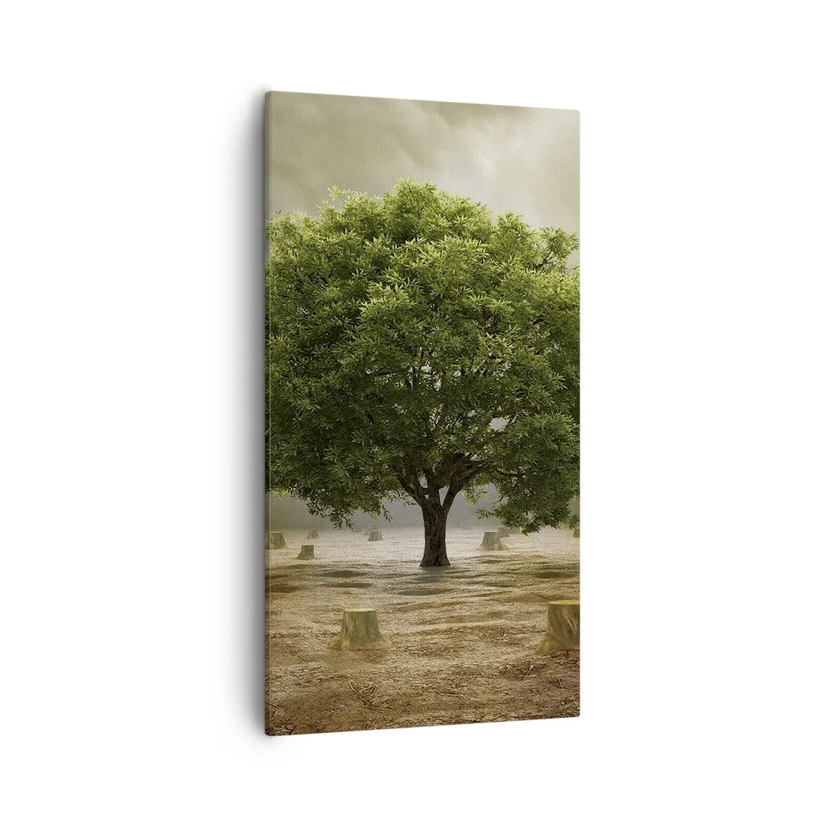 Tablou pe pânză - Toate speranțele - 55x100 cm