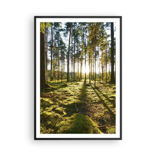 Poster în ramă neagră - Pădurea misterioasă - 70x100 cm
