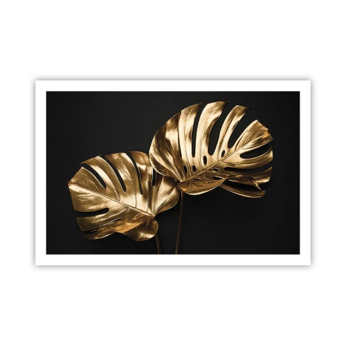 Poster - Comorile naturii - 91x61 cm