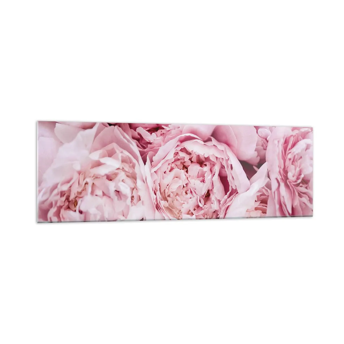 Tablou pe sticlă - Îmbrățișate și parfumate - 160x50 cm