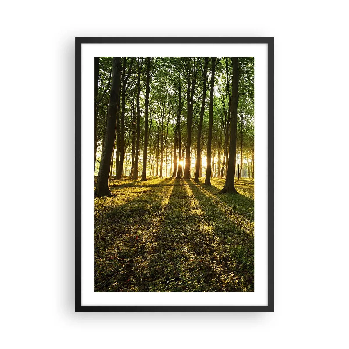 Poster în ramă neagră - O pădure luminată de razele soarelui care apune - 50x70cm - Fotografia tuturor primăverilor - Decorațiune modernă pentru perete pentru living și dormitor ARTTOR