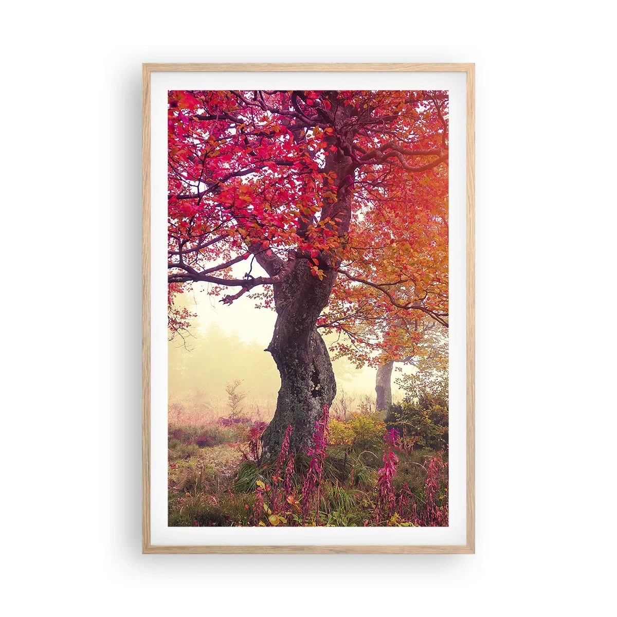 Poster în ramă de stejar deschis - O frenezie de înflorire - 61x91 cm
