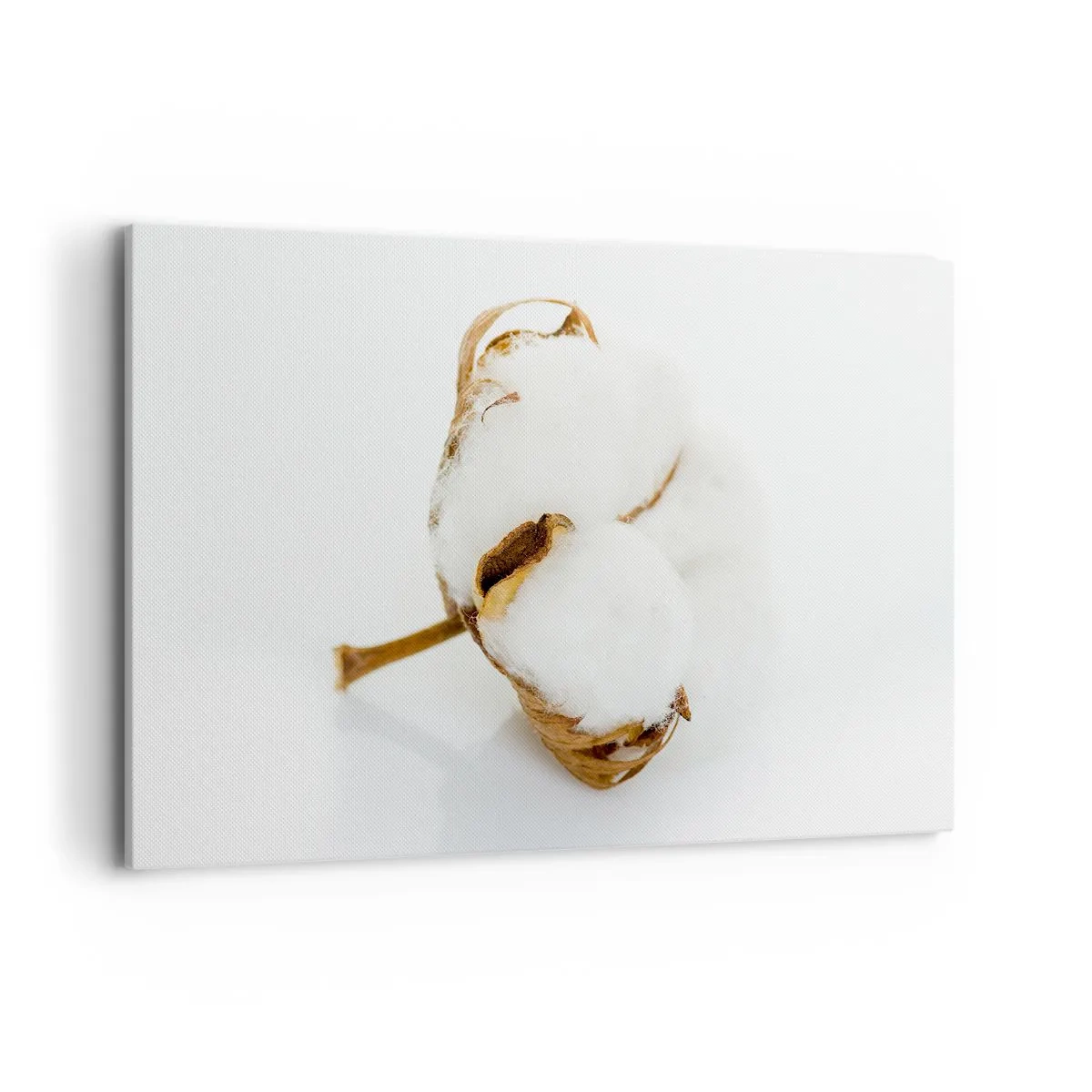 Tablou pe pânză - Moale prin natură - 120x80 cm