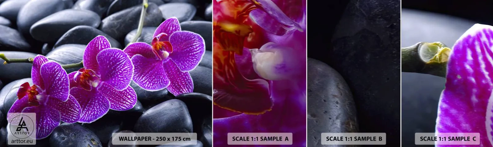 Mostră de Tapet Standard Eco - Pietrele s-au luminat de încântare - Flori, Pietre, Orhidee - 100x30 cm