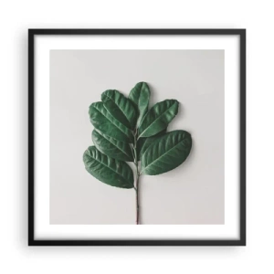 Poster în ramă neagră - Desenul naturii însăși - 50x50 cm