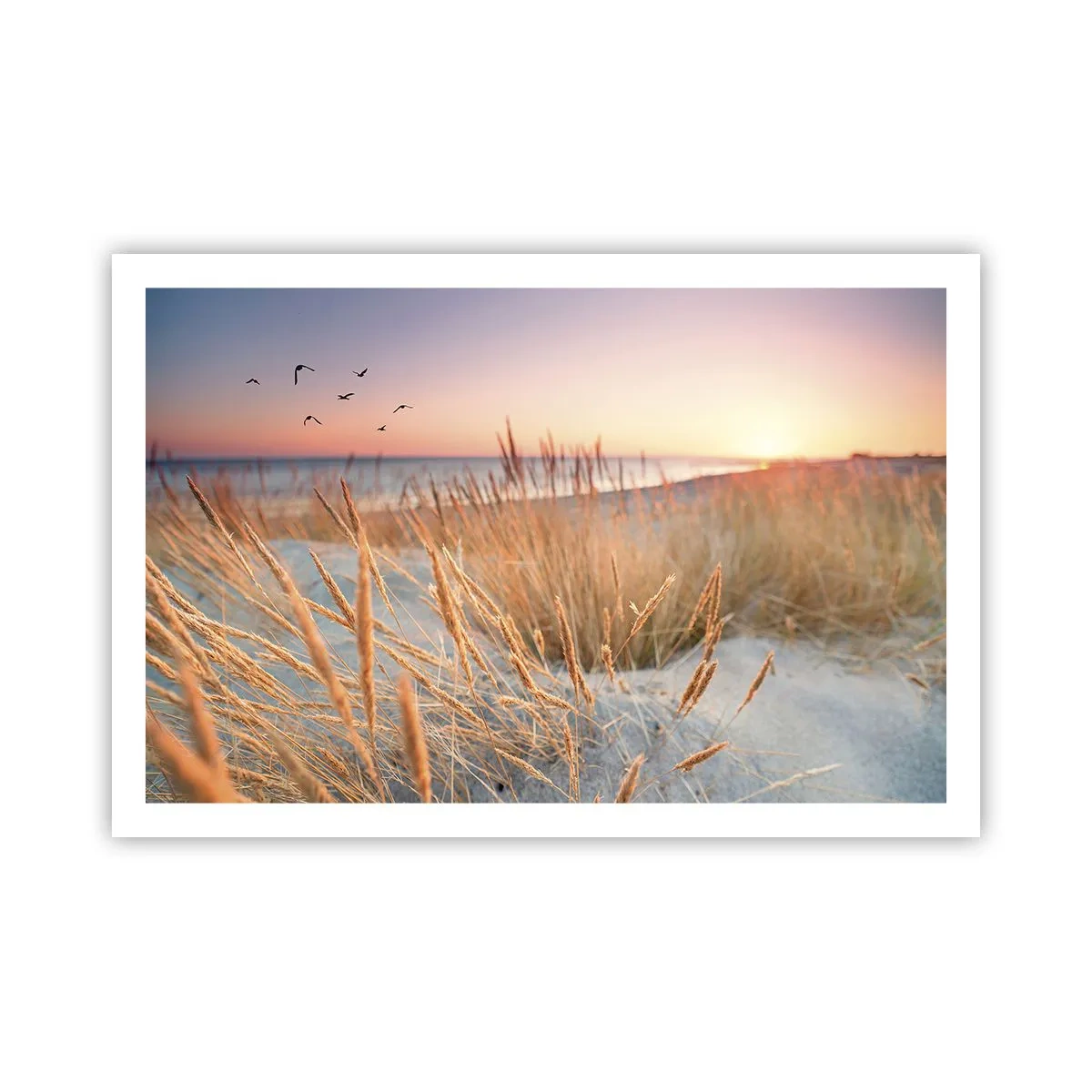 Poster - Cântec de leagăn baltic - 91x61 cm