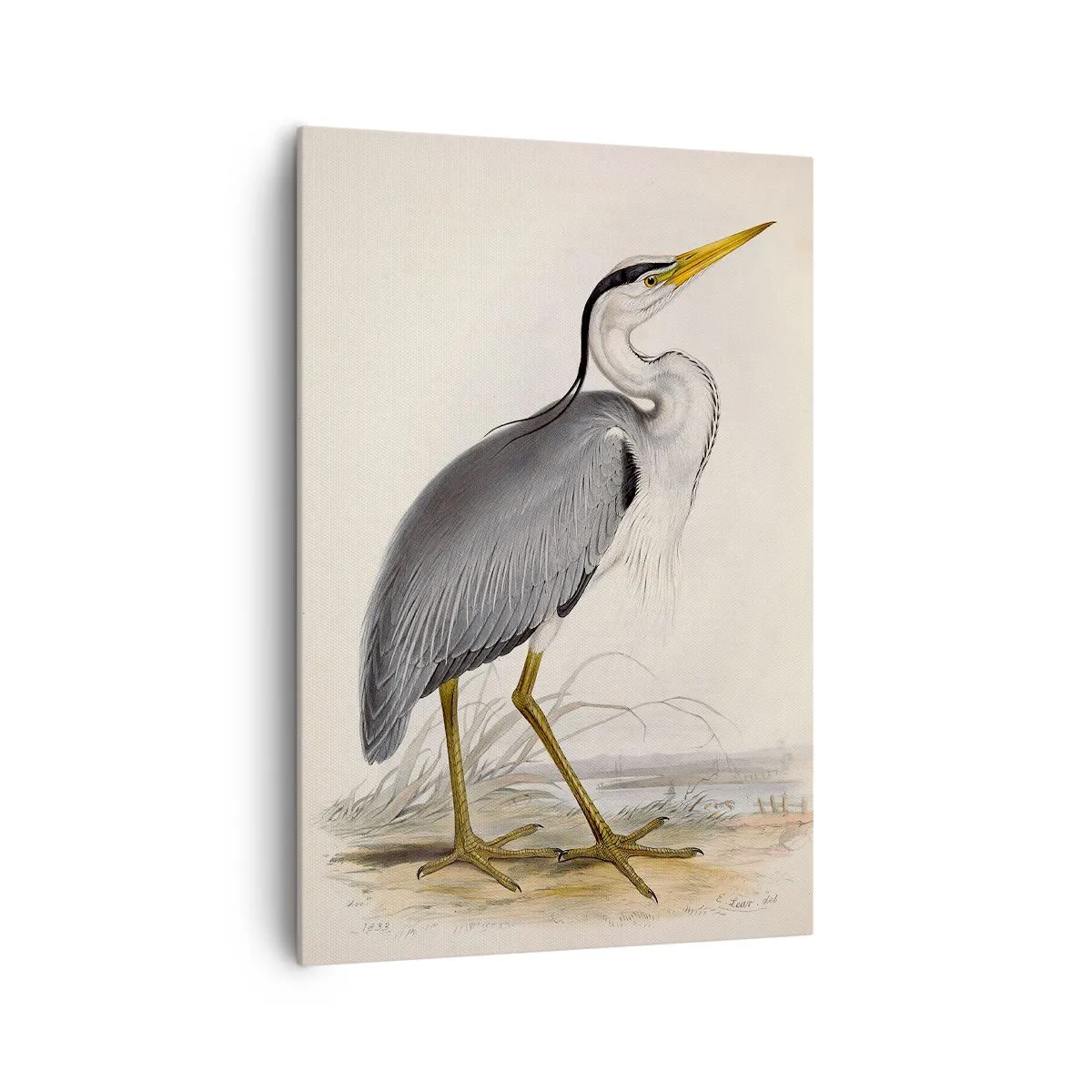 Tablou pe pânză - Farmecul unui stârc - 70x100 cm