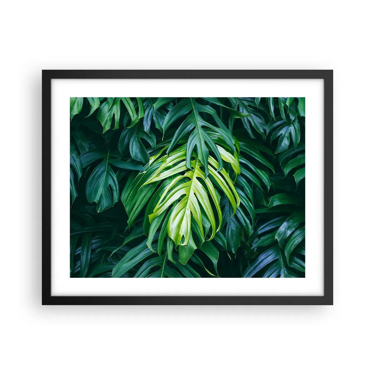 Poster în ramă neagră - Scufundă-te în prospețime - 50x40 cm