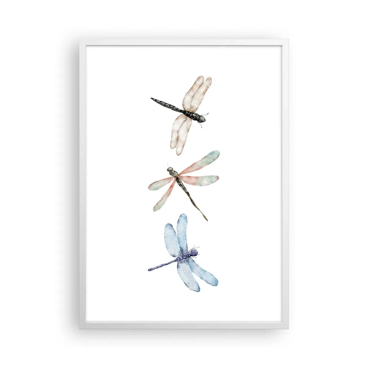 Poster în ramă albă - Libelule imponderabile - 50x70 cm