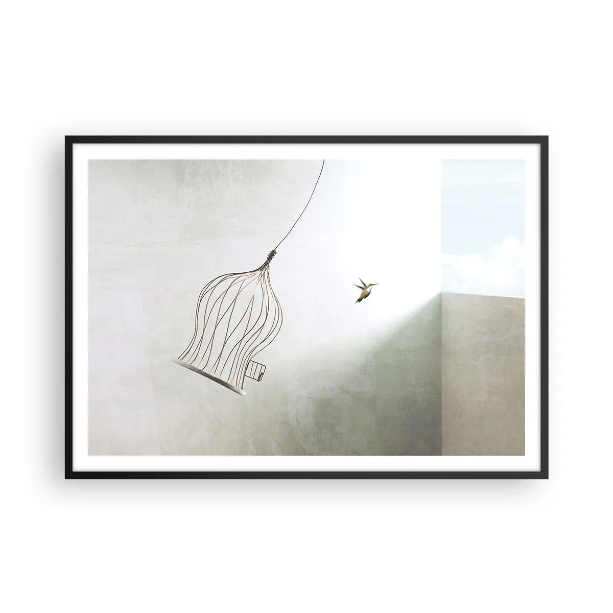 Poster în ramă neagră - Eliberat - 100x70 cm