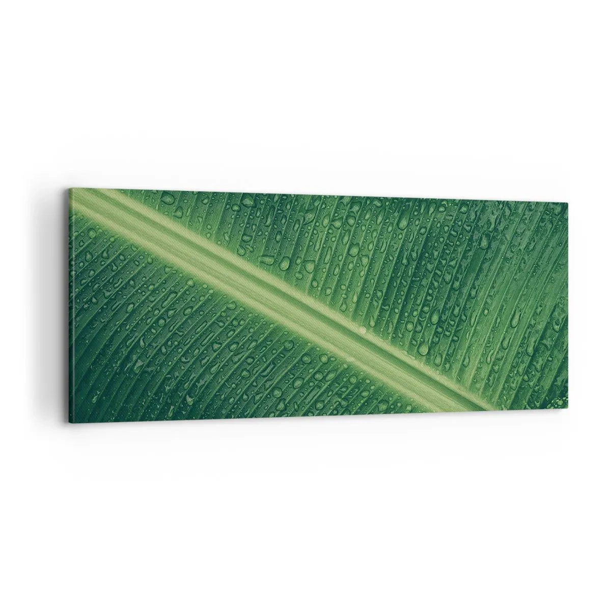 Tablou pe pânză - Structura verdelui - 100x40 cm