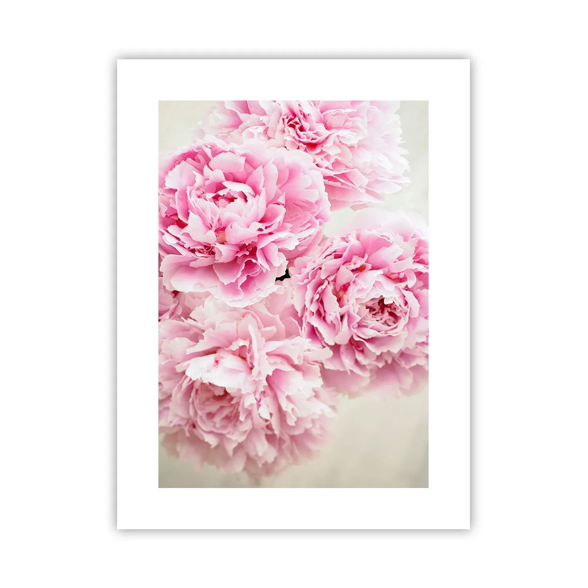 Poster - În luxul roz - 30x40 cm