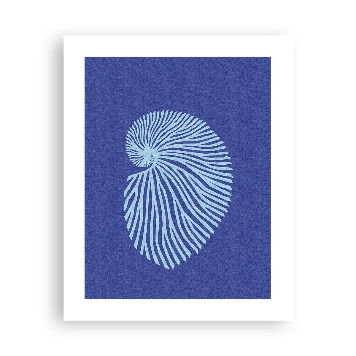 Poster - Nașterea cochiliei - 40x50 cm