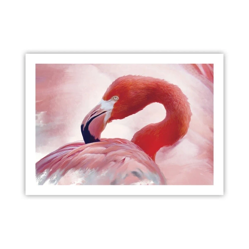 Poster - Frumusețea păsărilor - 70x50 cm