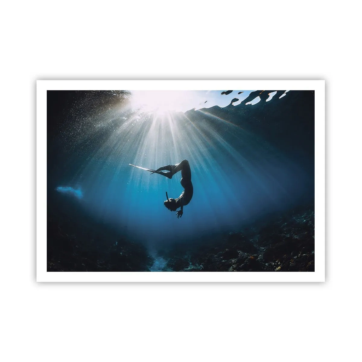 Poster - Dans subacvatic - 100x70 cm
