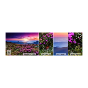 Mostră de Tapet Standard Eco - Ierburile proaspete miroseau puternic - Peisaj, Munţi, Flori - 100x30 cm
