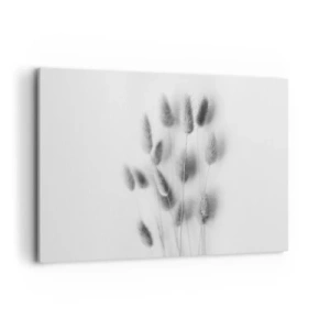 Tablou pe pânză - Pufoșenia ierbii - 100x70 cm