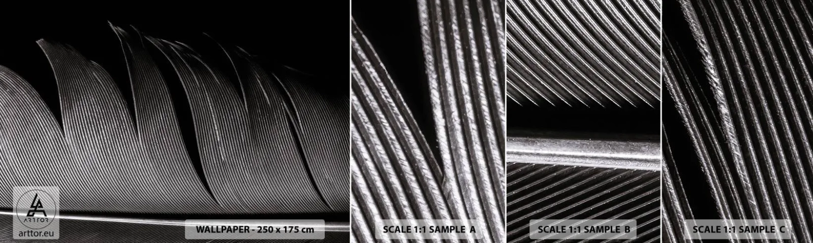 Mostră tapet autocolant Deluxe Sticker - Pana - o construcție minunată - Pix, Minimalism, Lejeritate - 100x30 cm